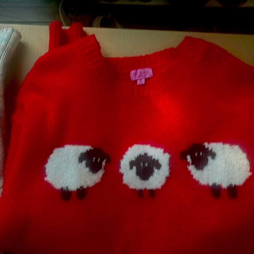 Cute long sleeve sweater!!